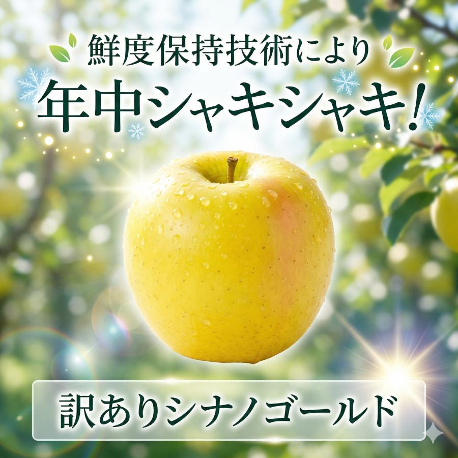 クール便 【光センサー選果保証】 高糖度 青森県産 シナノゴールド 旬 
