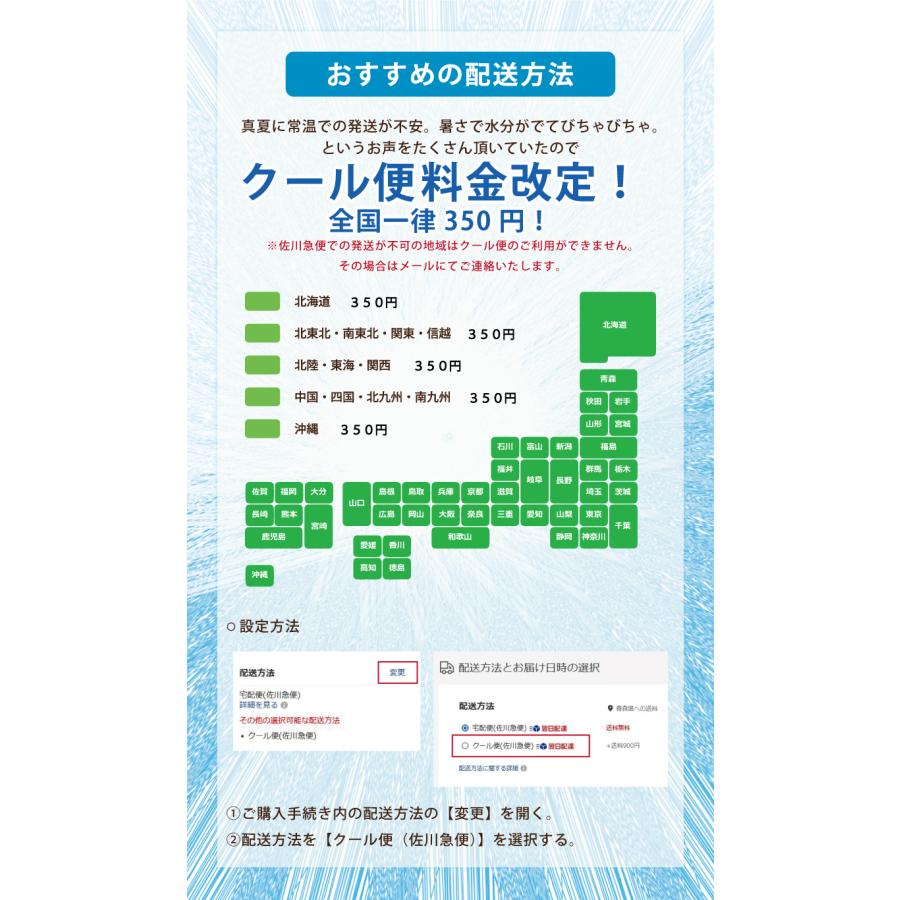 黒にんにく 訳あり 1kg 青森県産 福地ホワイト ニンニク 長期2段熟成 道奥美女 訳アリ 爆買 | 道奥美女 | 17