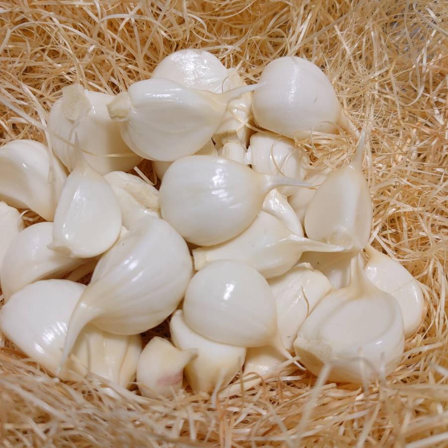 予約商品 産地直送 生にんにく 期間限定 100ぐらむ ばら 青森県産