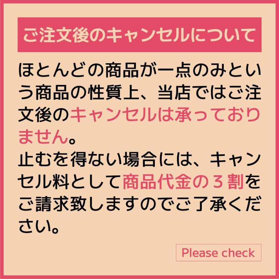 【中古】 iRobot ルンバ s9+ ロボット掃除機 クリーンベース付 ブラック 取扱説明書付 元箱付 アイロボット 自動 掃除機 自動ゴミ収集 | ルンバ | 06