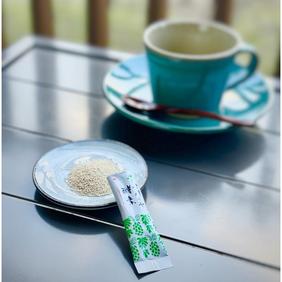 公式 2箱セット】青パパイヤ酵素 顆粒タイプ 2箱 バイオノーマ