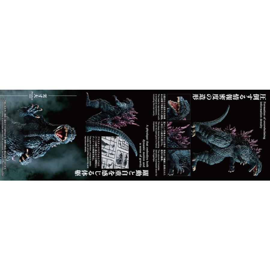 JJR 縮小の恐怖 ホルマジオ&L・F(箔押し入り)4枚セット Amazon | メンズマックス プッチ ジェリーフィッシュ 4個セット