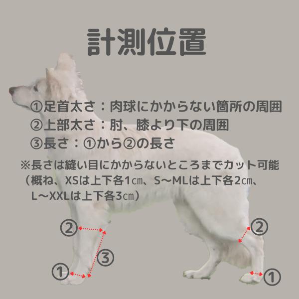 犬 レッグカバー サポーター 汚れ防止 足の保護 傷口保護 舐め防止 XS 10｜aota-shirota｜14