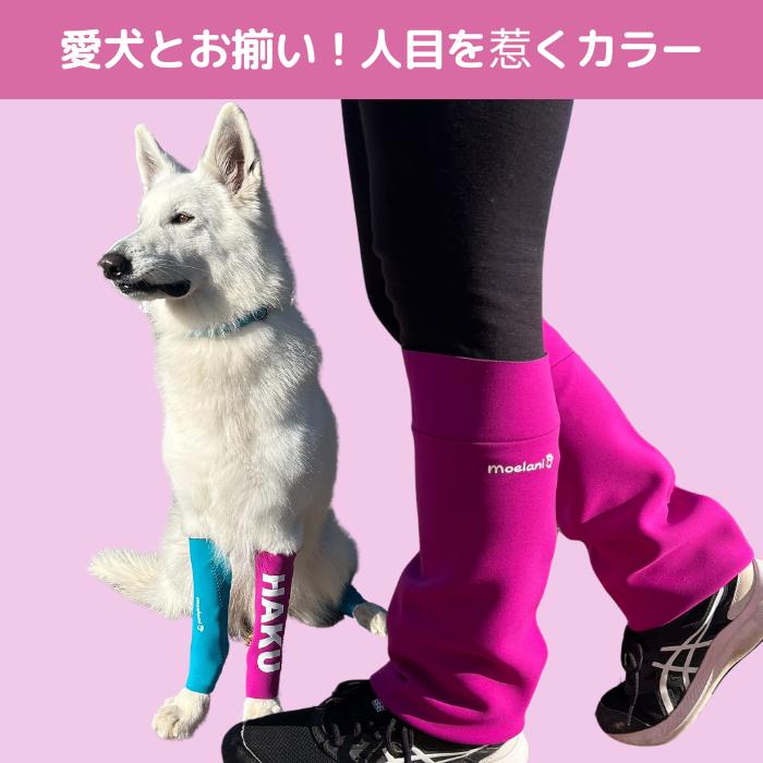 moelani オーナー様用 レッグウォーマー Lサイズ : 犬グッズ専門店の