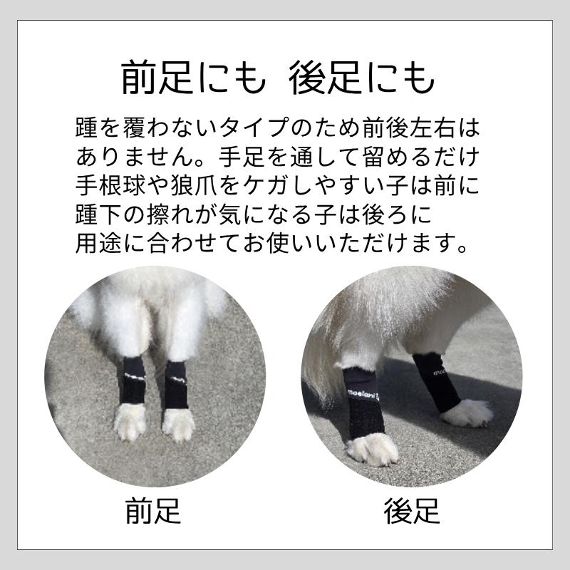 moelani Newパーフェクトドッグ レッグカバー アスリートモデル 中