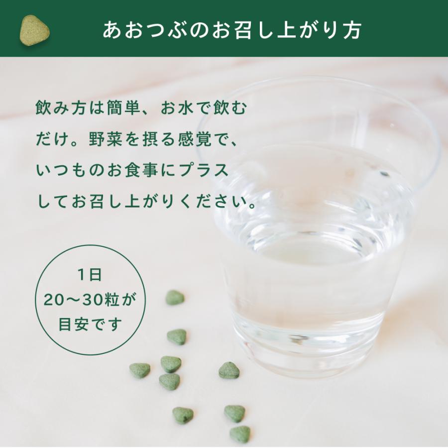 あおつぶボトル 詰替用 （750粒） 働く食物繊維 モロヘイヤ 100