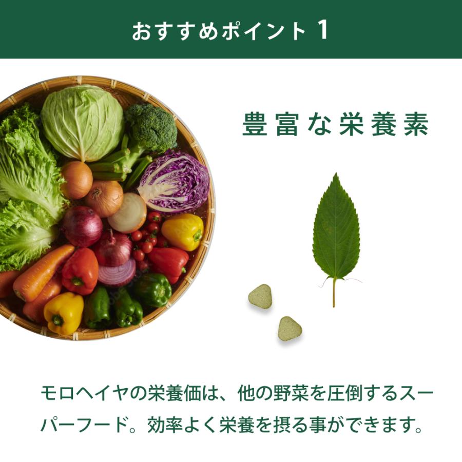 あおつぶボトル 詰替用 （750粒） 働く食物繊維 モロヘイヤ 100