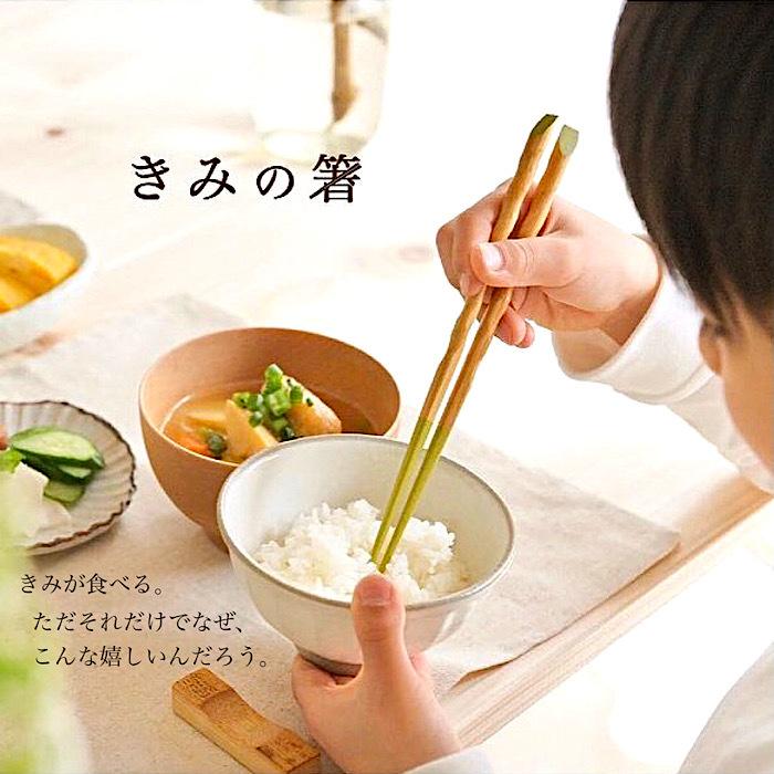 つながるキッチン】きみの箸 中原麻衣子プロデュース おはし 子供