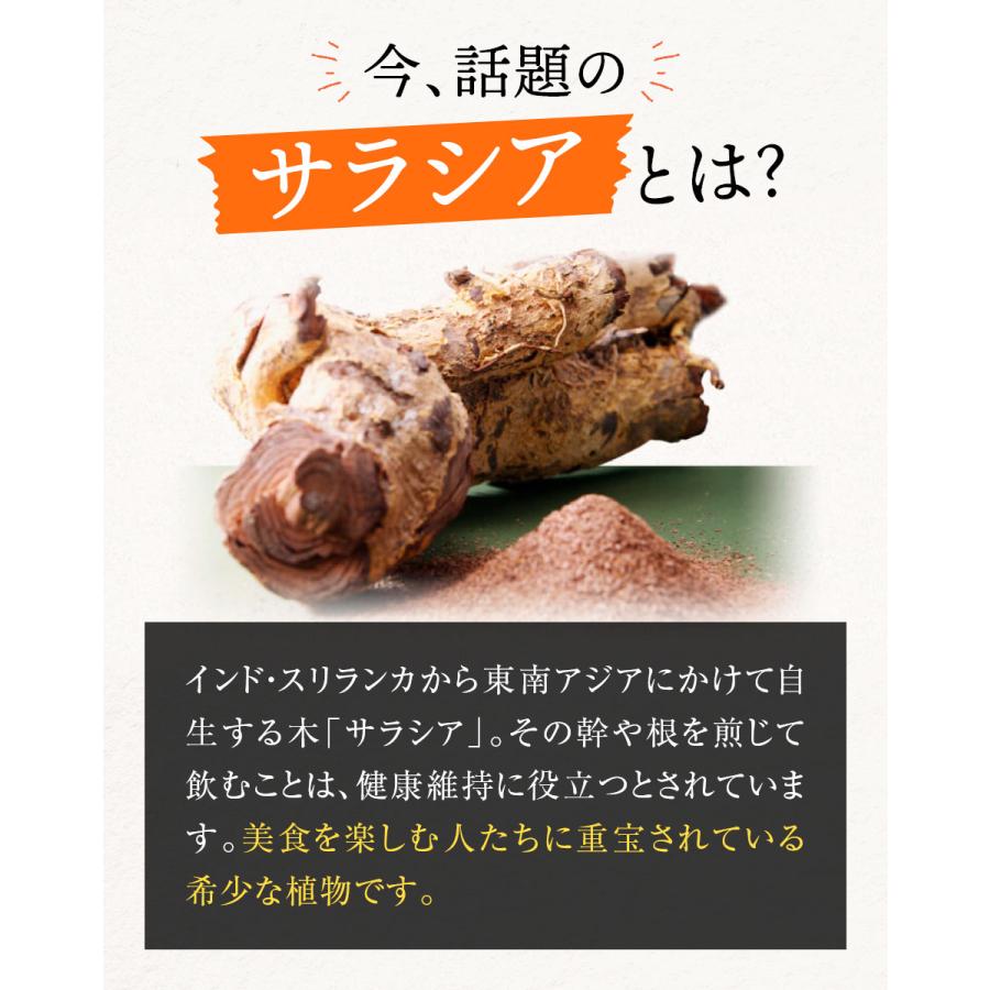 アビサラスリムティー 60包入 サポートティー 青山美肌 | ABIヘルスケア | 06