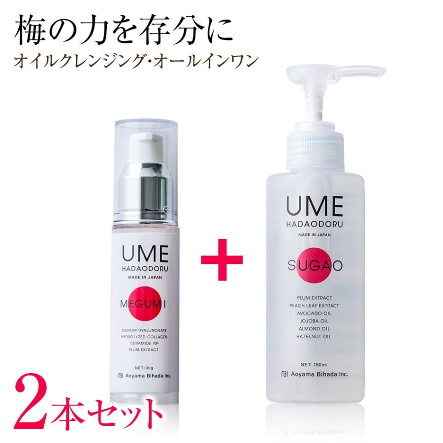 フィットツイン クレンジング＆フォーム2本セット