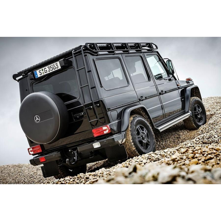 w463プロフェッショナル背面タイヤカバーg350dg500w461w460