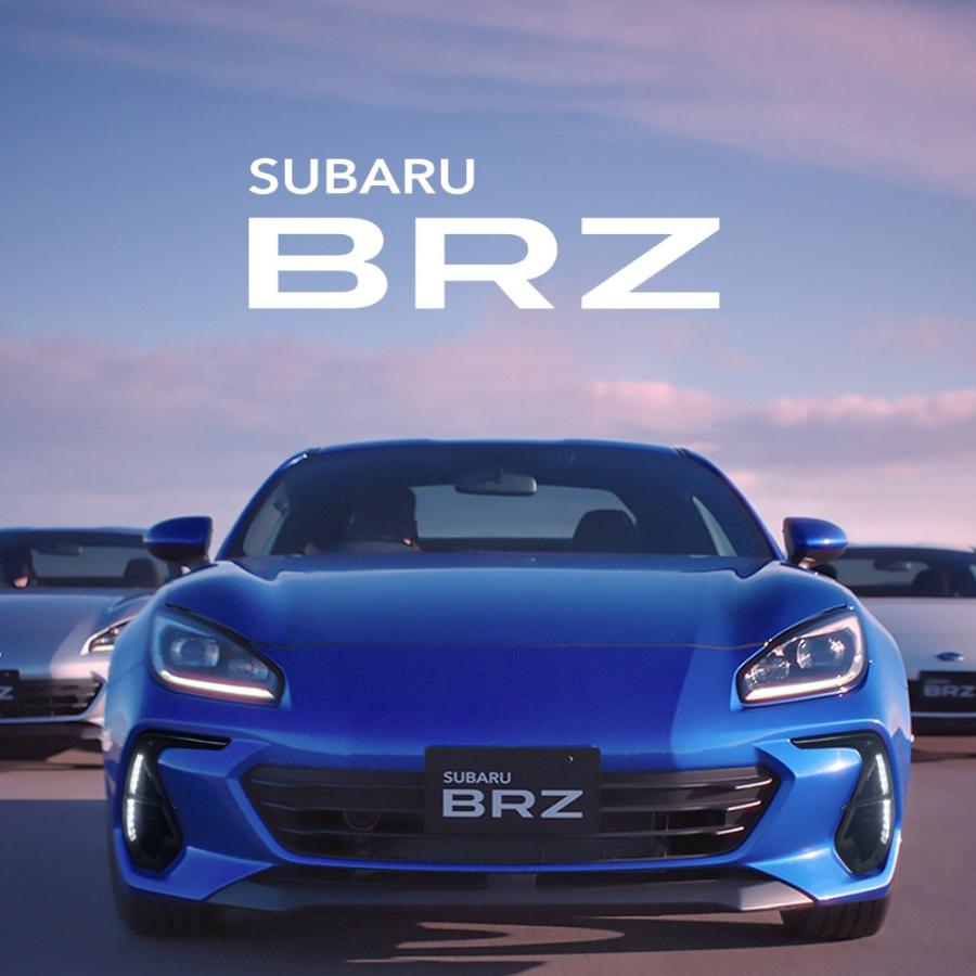 BRZ 後期デイライト スモーク 社外 BRZ 後期デイライト スモーク 社外 BRZ 後期デイライト スモーク