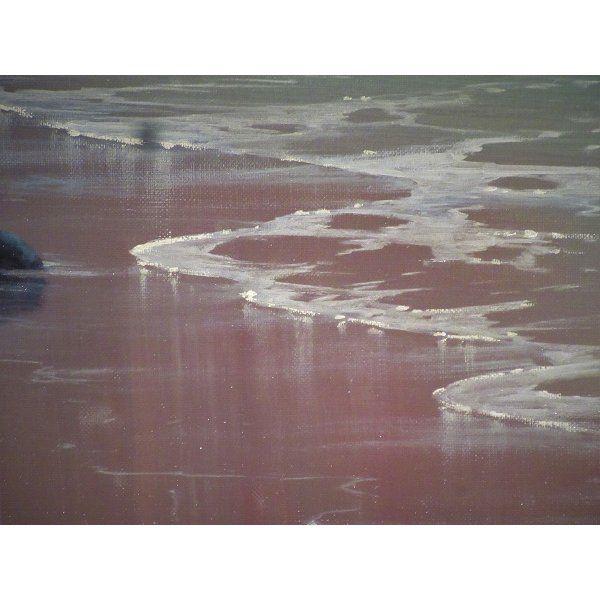 モーリスメイヤー 「Ｈidden・caves」油彩50号の画像