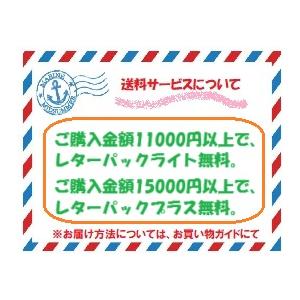 ディープライナー　スロースキップ　セット ⑦ DEEPLINER ディープライナー スロースキップCX 200g アオリイカ