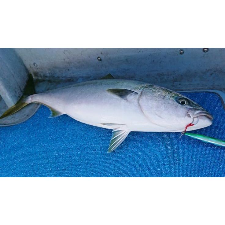 メサイア　セミロング　420g 450g アーク　500g aozora-fishingtackle_5a5aa1b5e2510
