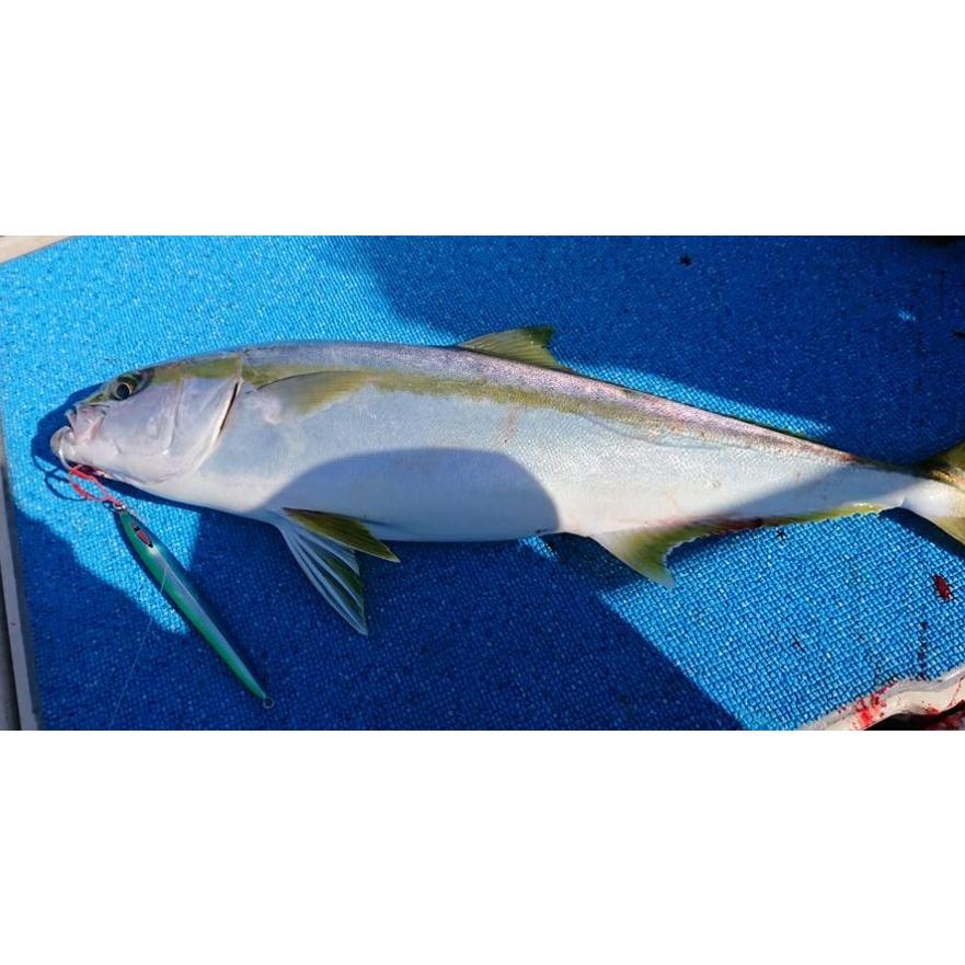 SEAFLOORCONTROL シーフロアコントロール メサイアセミロング