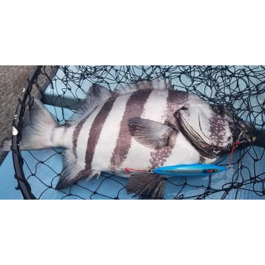 SEAFLOORCONTROL（シーフロアコントロール） アビス 350g ブルー