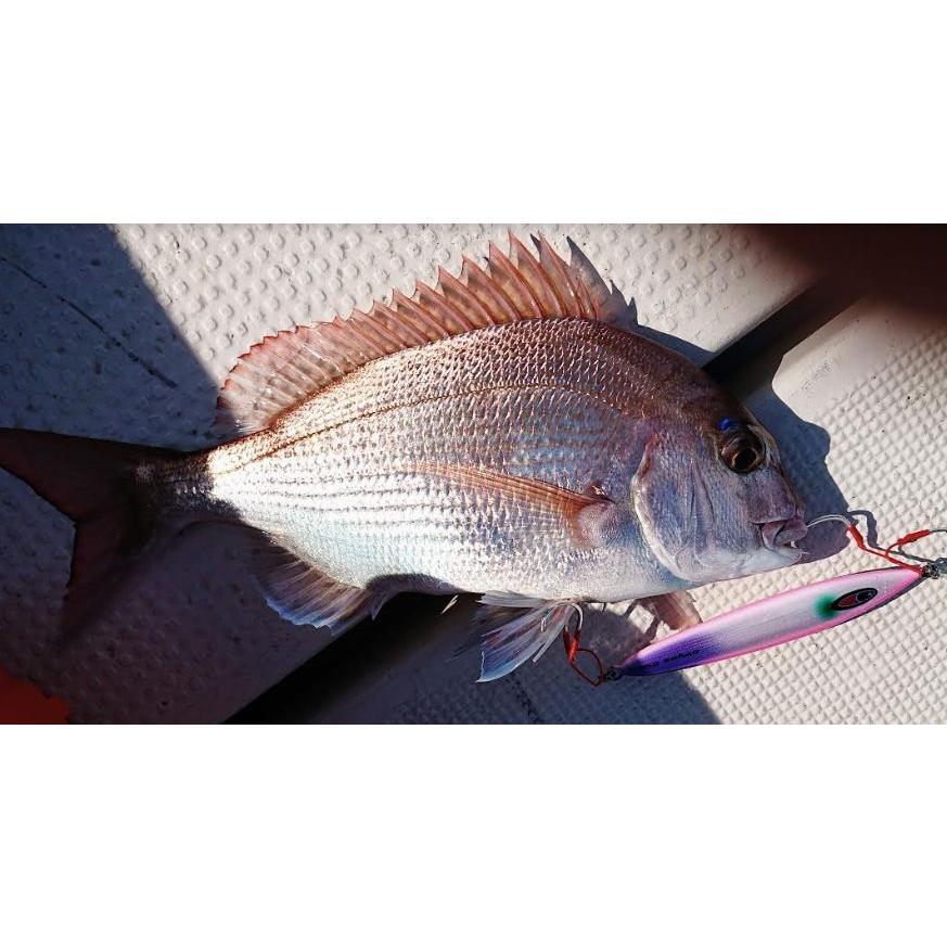 SEAFLOORCONTROL シーフロアコントロール アビス 350g 賛否両論