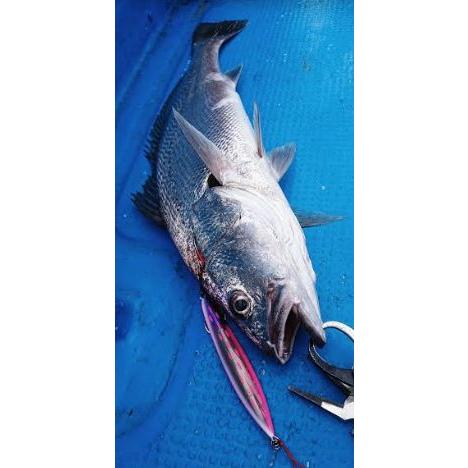 シーフロアコントロール 5本 アーク アビス アロー メサイアSL ジギング シーフロアコントロール 5本 アーク アビス アロー メサイアSL