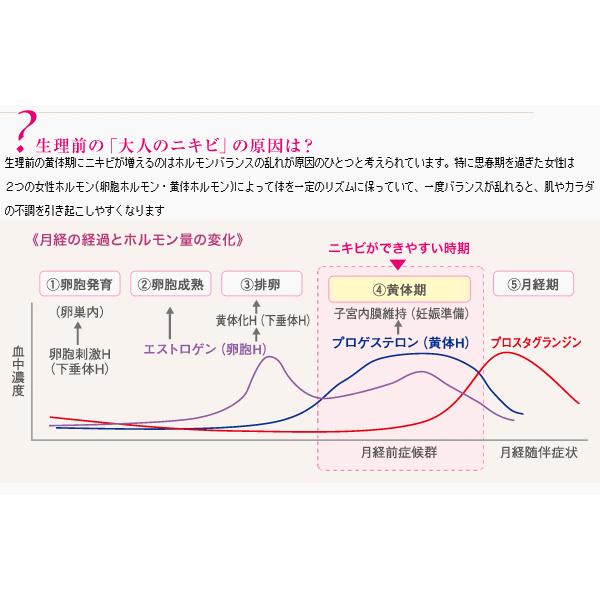 《ライオン》 ペア 漢方エキス錠 112錠 14日分 【第2類医薬品】｜aozorablue｜02