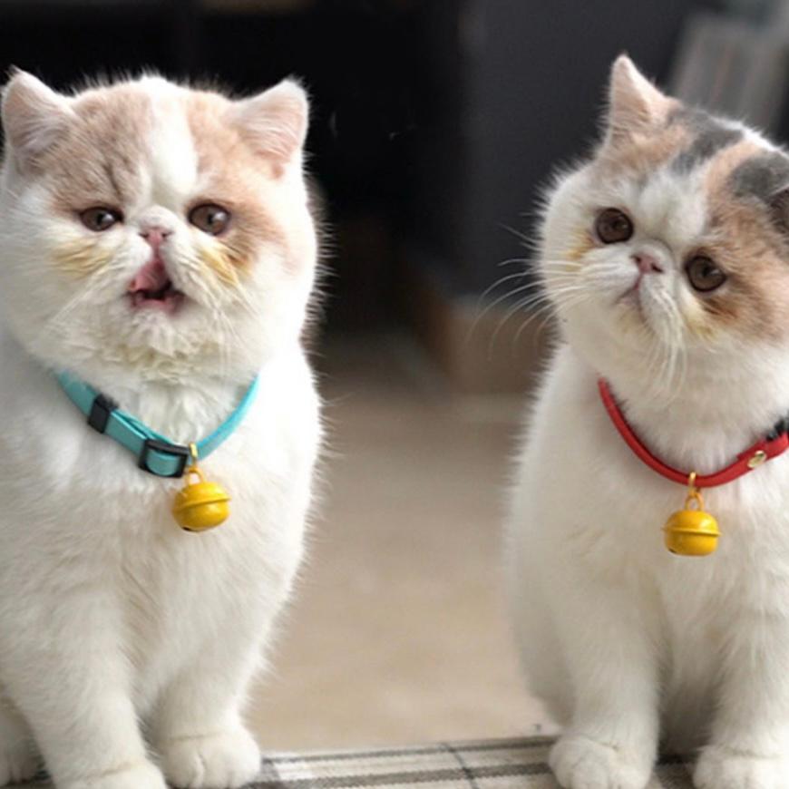 猫用 黄色い鈴 首輪 ペット 猫 犬 鈴 かわいい おしゃれ 鈴付き