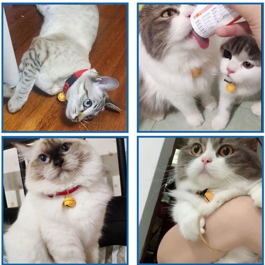 首輪 鈴 A265 猫用 黄色い鈴 ペット 猫 犬 かわいい おしゃれ 鈴付き