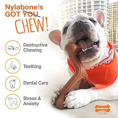 Nylabone Dura Chew Wolf Bacon Flavored Bone Dog Chew Toy by Nylabone 並行輸入｜aozoraichiba1968｜09