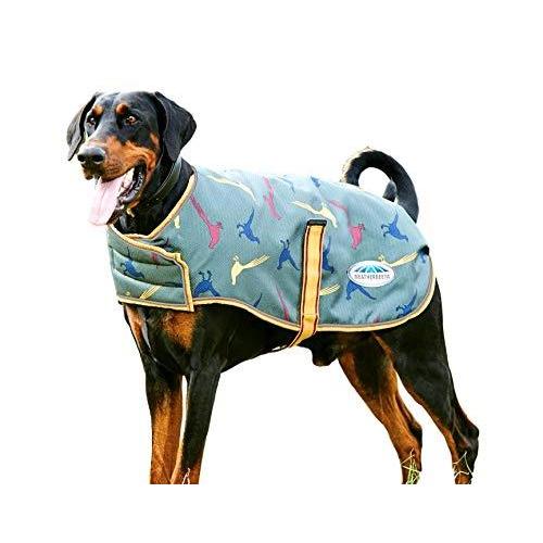 高級ブランド 欧米のレアな商品をエクスプレス便で直輸入 Weatherbeeta 16 Print Pheasant Green Coat Dog Parka Free Premier Comfitec 犬服 アクセサリー Www Solidarite Numerique Fr