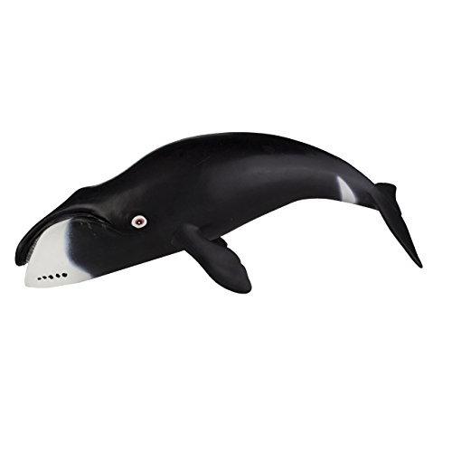 Bowhead Whale by Safari