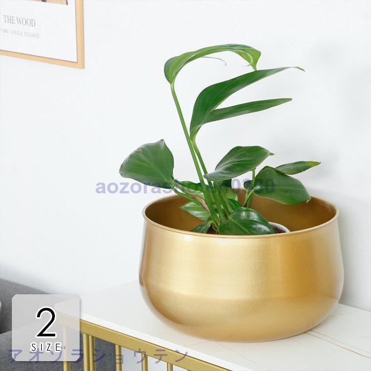 クリスマス 植木鉢 花瓶 プランター プランター おしゃれ かわいい 鉢植え 花 栽培 栽培 プレゼント 通販 ガーデニング ギフト ゴールド繊細 ナチュラルテイスト 母の日 かわいい Azr1127 Gfx227 アオゾラショウテン