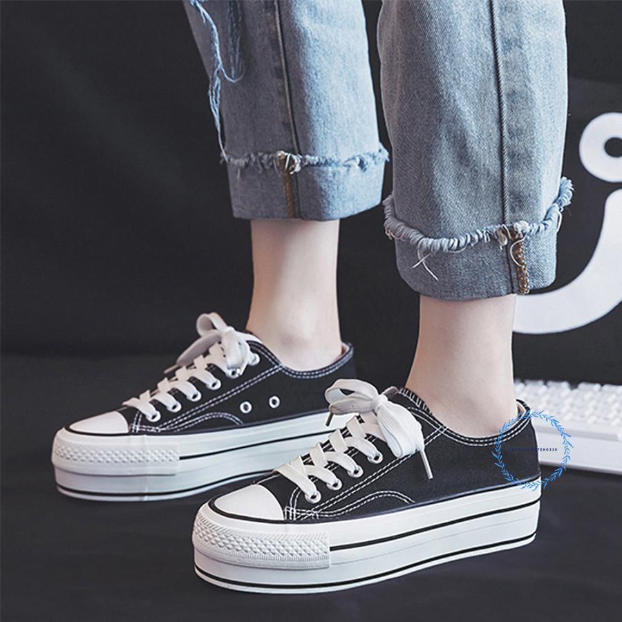 onslow 大 (韓国苗) 韓国多肉植物 Xplant - 韓国最大の多肉植物ウェブサイト