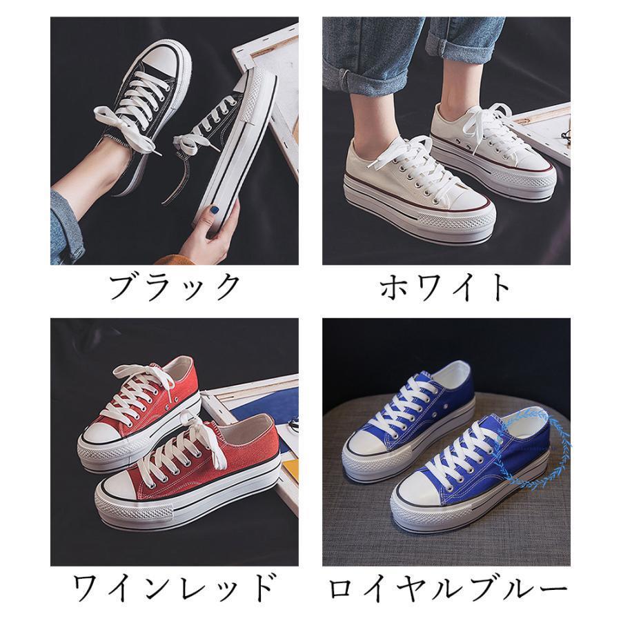 onslow 大 (韓国苗) 韓国多肉植物 Xplant - 韓国最大の多肉植物ウェブサイト