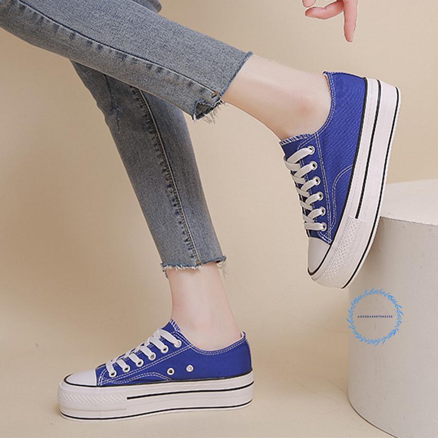 onslow 大 (韓国苗) 韓国多肉植物 Xplant - 韓国最大の多肉植物ウェブサイト