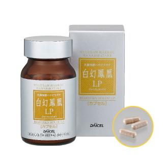 ハナビラタケ 白幻鳳凰 LP カプセルタイプ 100粒 1箱 乳酸発酵