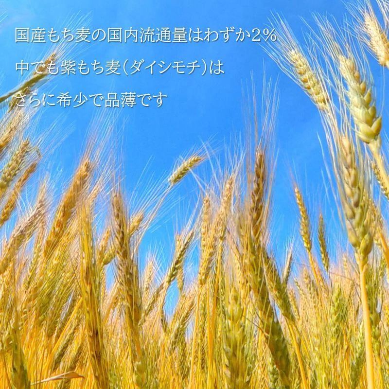もち麦 800g 佐賀県産 紫もち麦 ダイシモチ ミヤハラ農園 雑穀