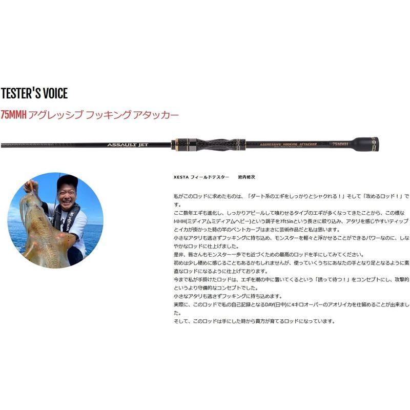 ゼスタ　アサルトジェットタイプS ASSAULT JET TYPE S 75MH ゼスタ（XESTA） アサルトジェットタイプS 75MMH アグレッシブ