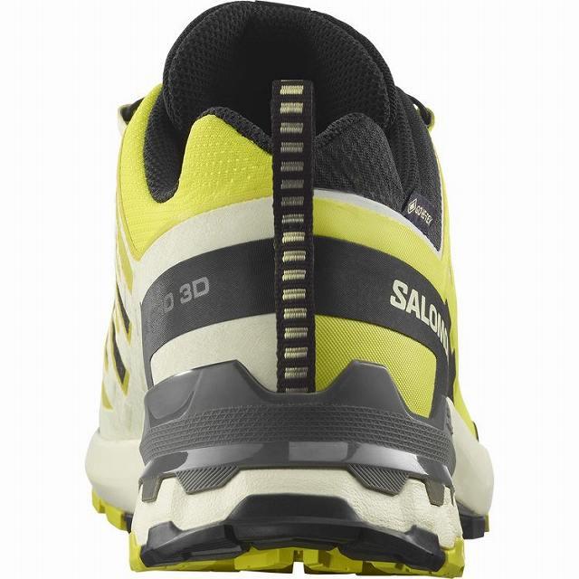 【送料無料】 SALOMON/サロモン 24SeriesRACE 165cm サロモン(SALOMON)｜Acsprounisex｜Forget-me-nots Online Store
