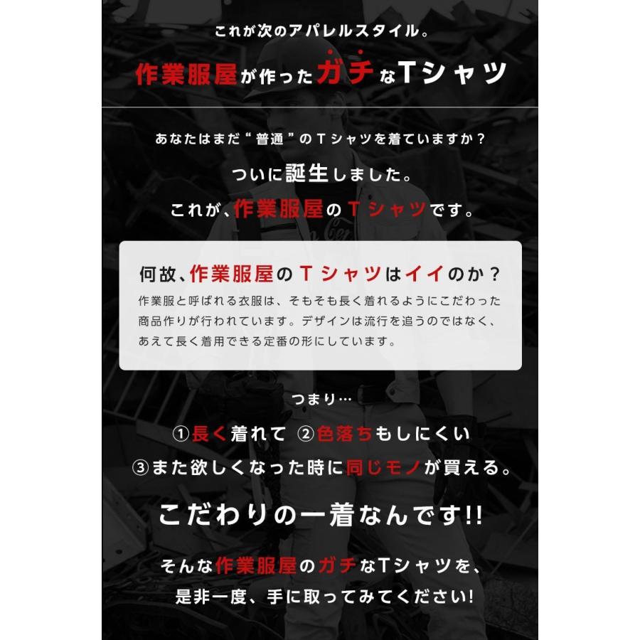 Tシャツ 厚手 半袖 メンズ ずっしり 10.2オンス ヘビーウェイト カットソー レディース 無地Tシャツ 即日発送可 |  | 02