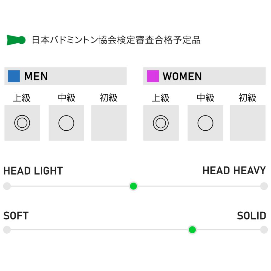 アパックス バドミントンラケット ブリザードプロZZ BLIZZARD PRO ZZ
