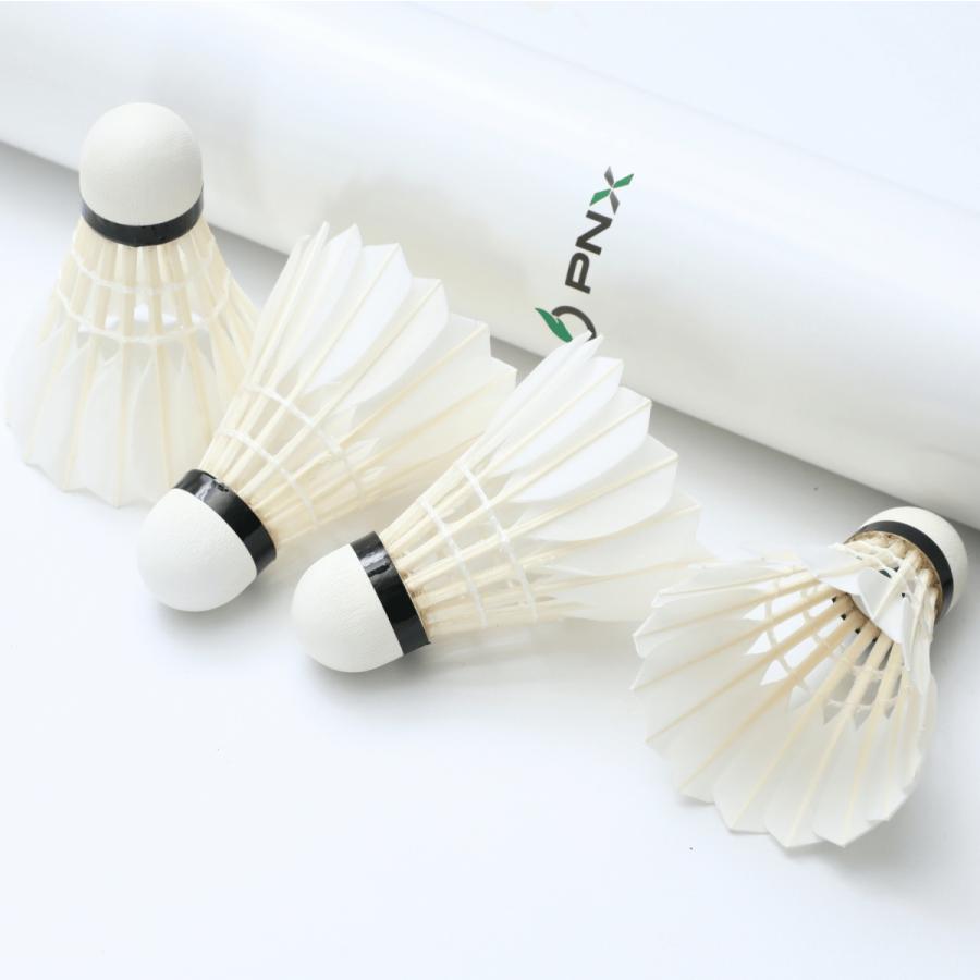 Pnx バドミントン シャトル バドミントンシャトル 耐久性 試合球 練習球 水鳥 ガチョウ 羽根 送料無料 Pnxシャトル Pnx シャトル Pnx Green Pnx Green Apacs Japan ヤフー店 通販 Yahoo ショッピング