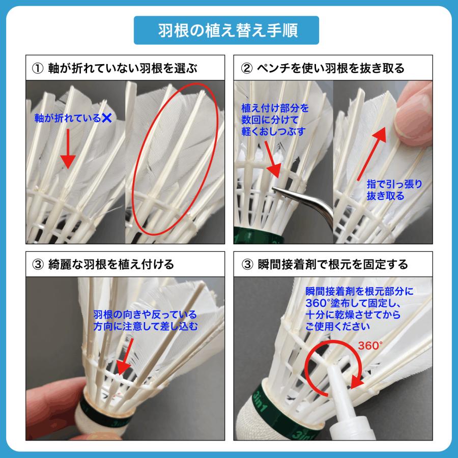 バドミントン シャトル PNX ハイブリッド 練習用 ガチョウ羽根 10