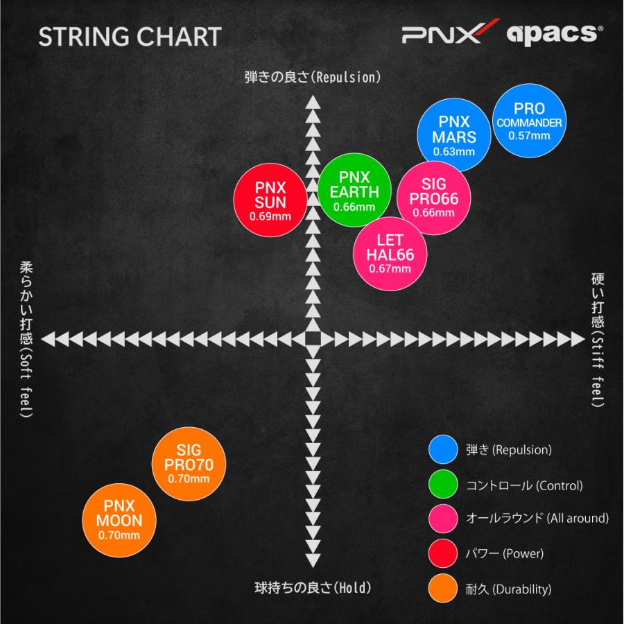 ガット張り上げ & ステンシル加工 サービス |  | 01