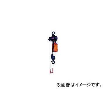 日本ニューマチック工業 エアーホイスト 定格荷重1000Kg 引きひも式 10817 RHL1000(3210880)