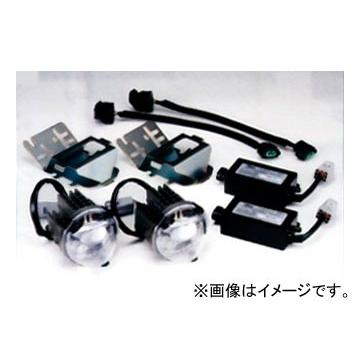 レイブリック/RAYBRIG LEDフォグランプ 6,200K LF06T 入数：2個