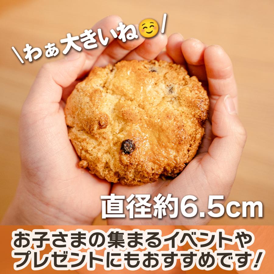 焼き菓子 お菓子 クッキー ギフト チョコチップクッキー 12枚 おしゃれ 沖縄 お土産｜aparagiya｜05