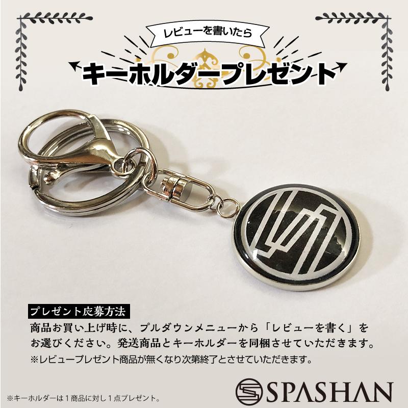 スパシャン グラフェンコーティング 2個セット graphene coating 