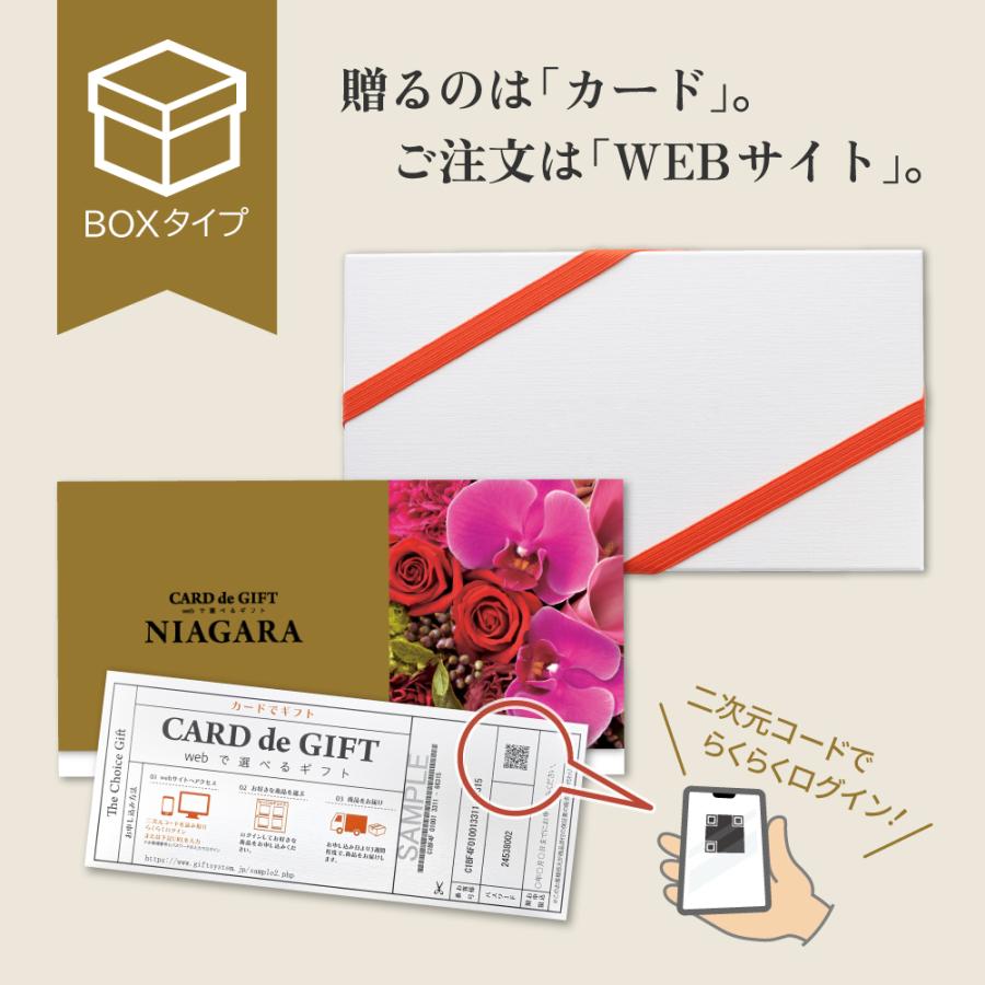 CARD de GIFT 「ナイアガラ」ボックスタイプ ｜ カードのし対応 カードタイプギフト : アプコ選べるギフトWebショップ - 通販 ...