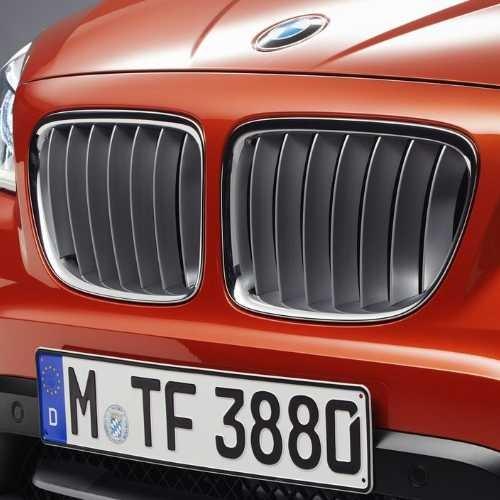 BMW　X1　純正　フロントグリル BMW BMW純正 キドニー・グリル (ブラック) (U11 X1) : APdirect