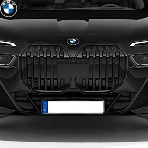 BMW純正 キドニー・グリル (ブラック) (G07) (後期)の画像