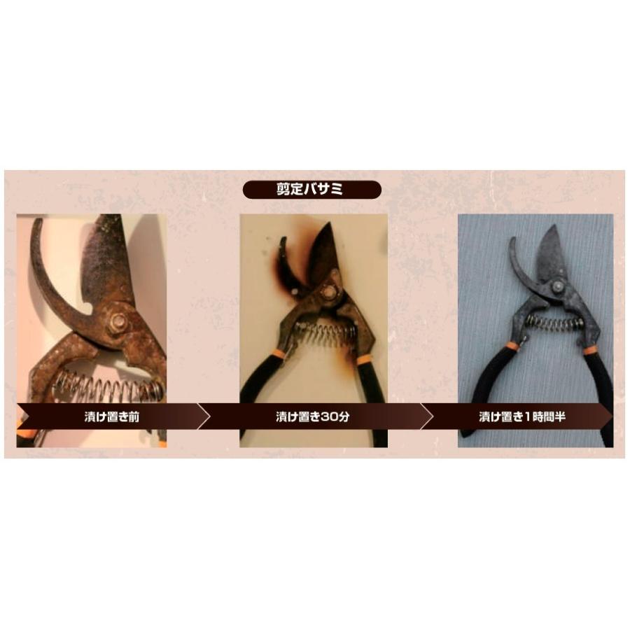 RUST VANISH ラストバニッシュ バイオパワー強力サビ落とし剤